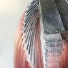 image:imageFRAMAR Gingham Pink Hair Foil Roll Hair Foils For Highlighting Long HairSilver