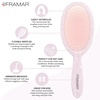 image:imageFramar Detangling Brush for Curly Hair Hair Brushes for Women DetanglerIridescent